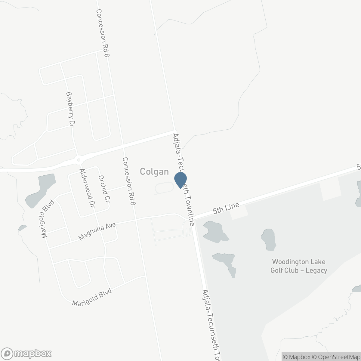 2164 ADJALA TECUMSETH TOWNLINE, New Tecumseth, Ontario L0G 1W0